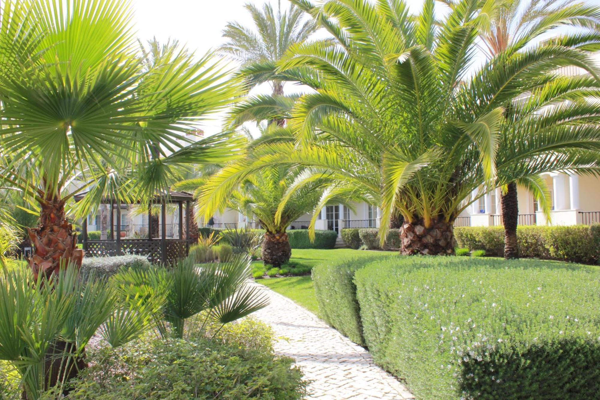 Luxury 3 Bedroom Apartment On Gated Complex Quarteira Exterior foto